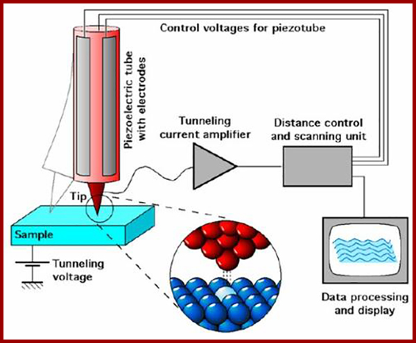 原子力显微镜一般多少钱 原子力显微镜一般多少钱