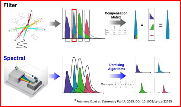 停流光谱仪 停流光谱仪
