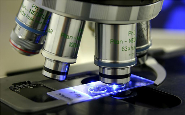 普通光学金相显微镜分为哪几类 普通光学金相显微镜分为哪几类